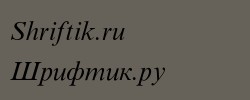 Times New Roman Cyr Italic 
